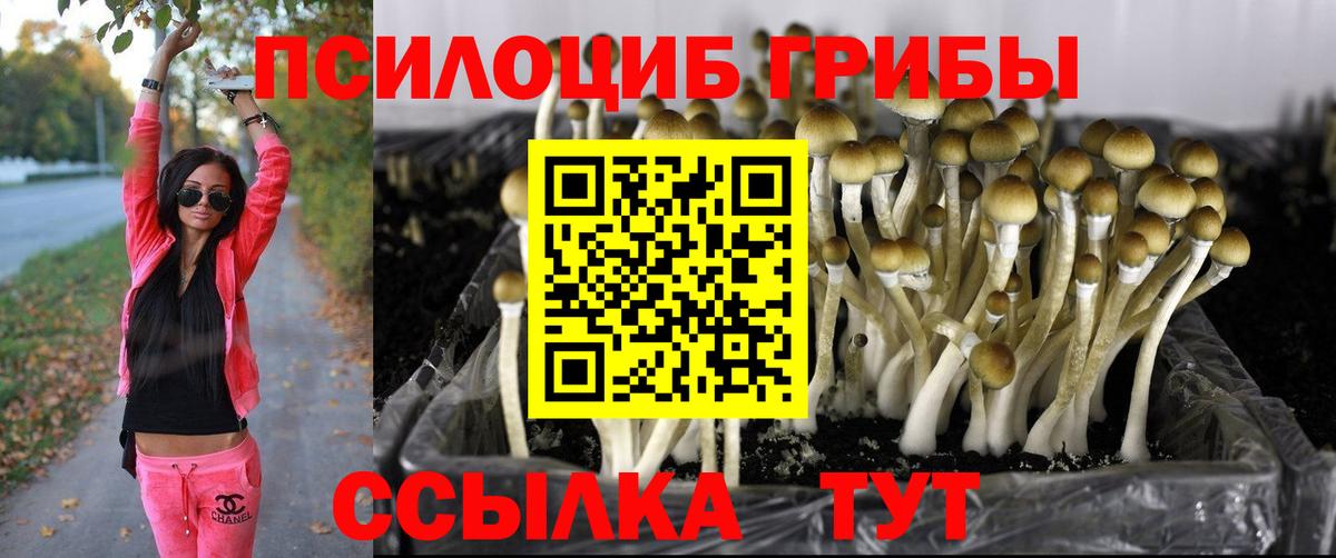 Галлюциногенные грибы мухоморы Алейск