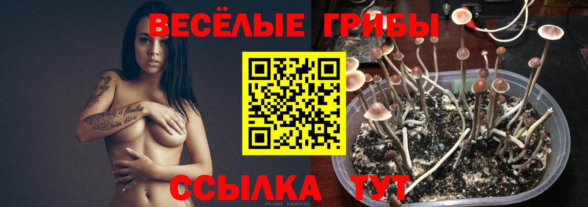 COCAIN  Бошки Шишки  ГАШ  Конопля  ГАШ  Алейск  Мефедрон кристаллы  Вход с VPN  Экстази 